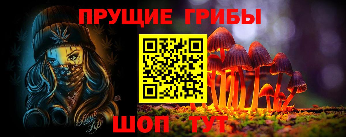 Энгельс  Псилоцибиновые грибы MAGIC MUSHROOMS  Вход с VPN 